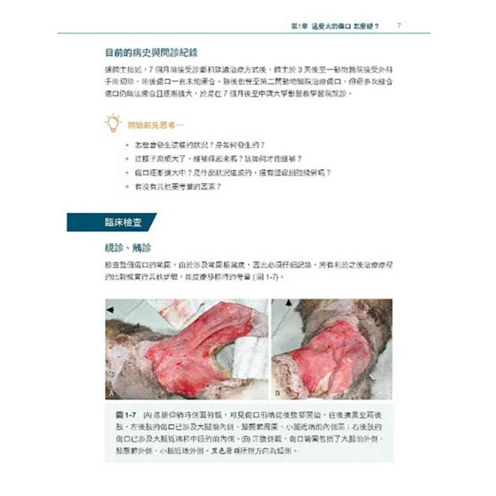 魏啥麻-《書》小動物臨床病例精選，第一部 (下單後進貨) 專業獸醫書籍-細節圖7