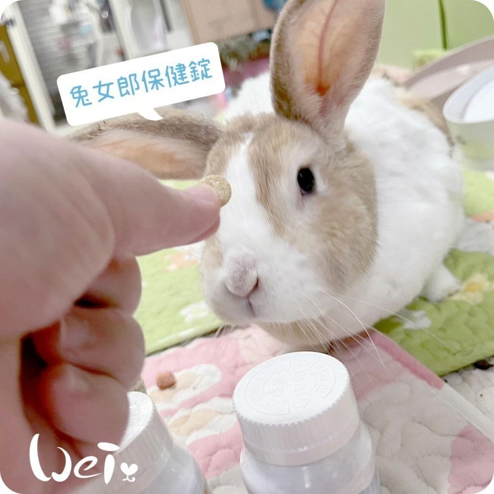 魏啥麻-兔女郎 5歲+綜合保健錠 30錠/100錠 (腸胃 心血管 關節保健 抵抗力維持)兔 天竺鼠保健品-細節圖6