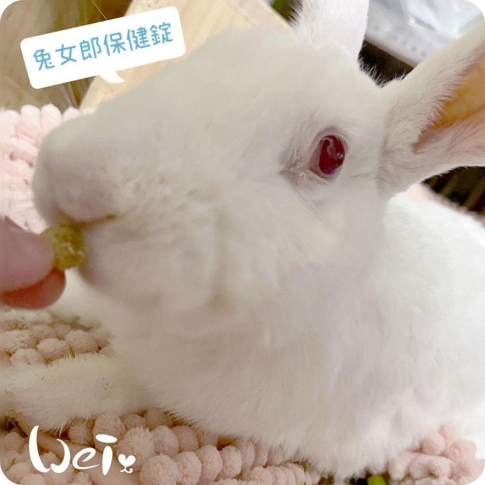 魏啥麻-兔女郎 5歲+綜合保健錠 30錠/100錠 (腸胃 心血管 關節保健 抵抗力維持)兔 天竺鼠保健品-細節圖7