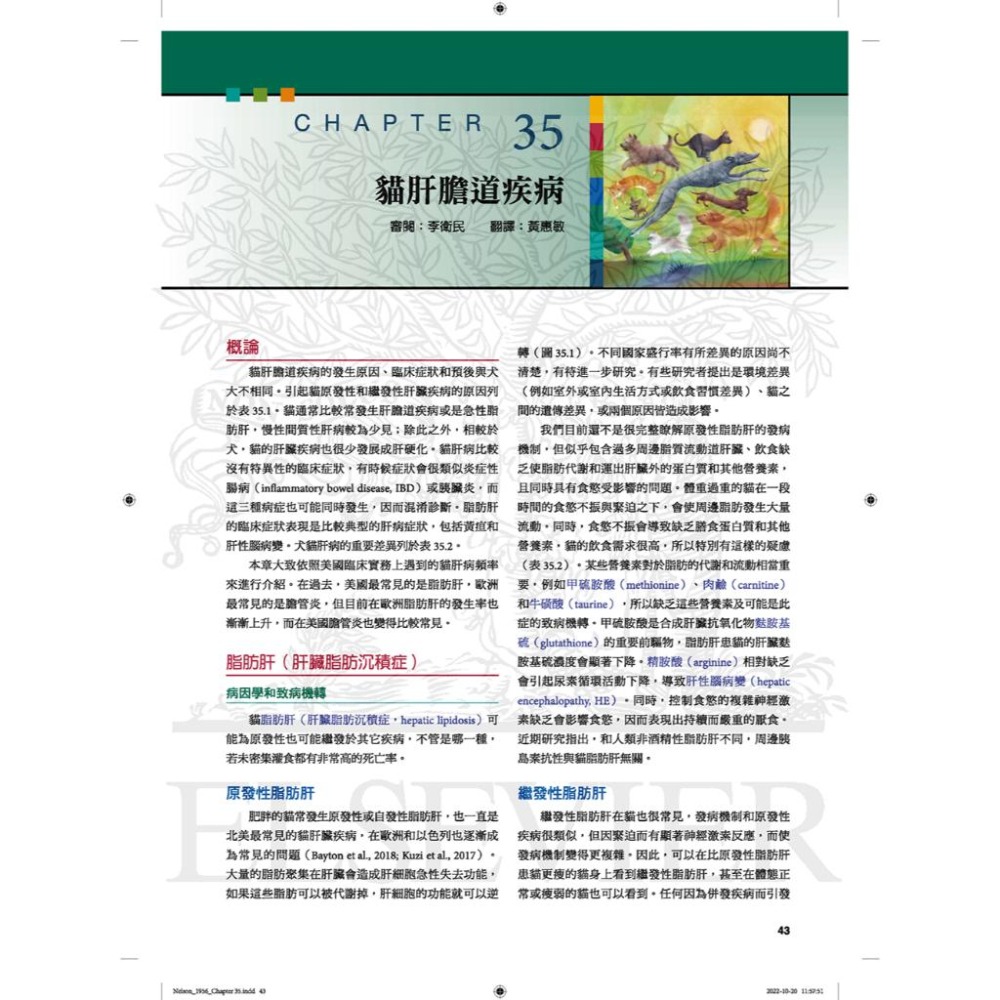魏啥麻-《書》小動物內科學，第六版（中冊）(下單後進貨) 專業獸醫書籍-細節圖3