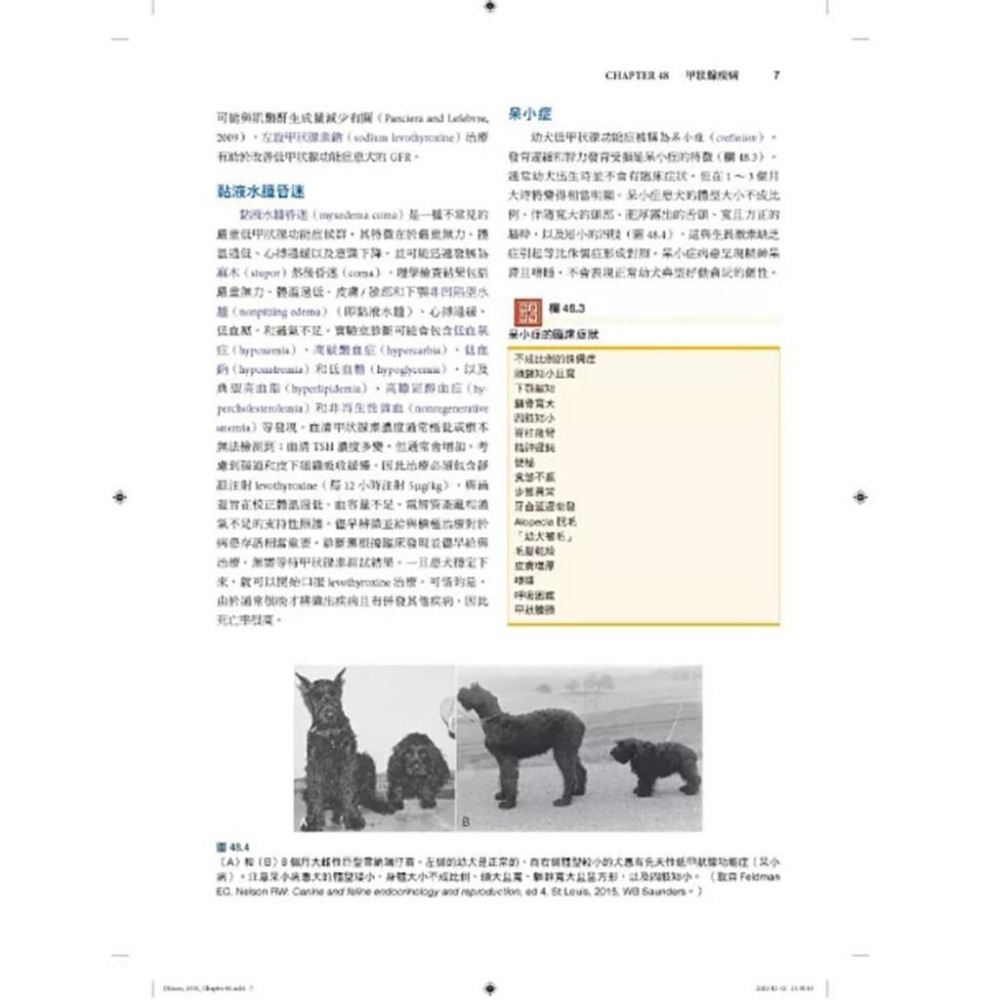 魏啥麻-《書》小動物內科學，第六版（中冊）(下單後進貨) 專業獸醫書籍-細節圖9