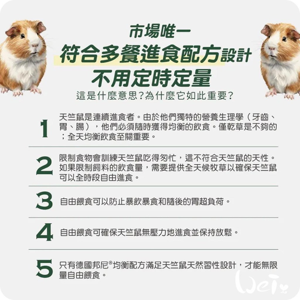 魏啥麻-Bunny德國邦尼成天竺鼠無糖高安C花草配方(小顆粒圓柱 低鈣 84種草本 含花草 薄荷 瑪卡根) 飼料-細節圖7