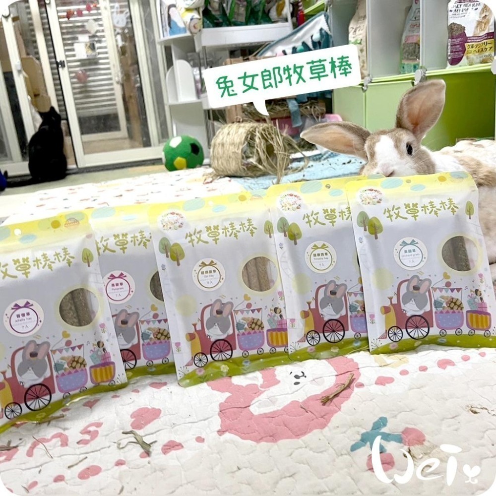 魏啥麻-兔女郎 甜燕麥牧草棒棒 8入 (含菊苣纖維(益生元) 純草無添加)(兔 天竺鼠 龍貓可)-細節圖7