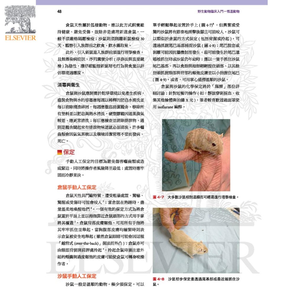 魏啥麻-《書》野生動物臨床入門：恆溫動物 專業獸醫書籍-細節圖2