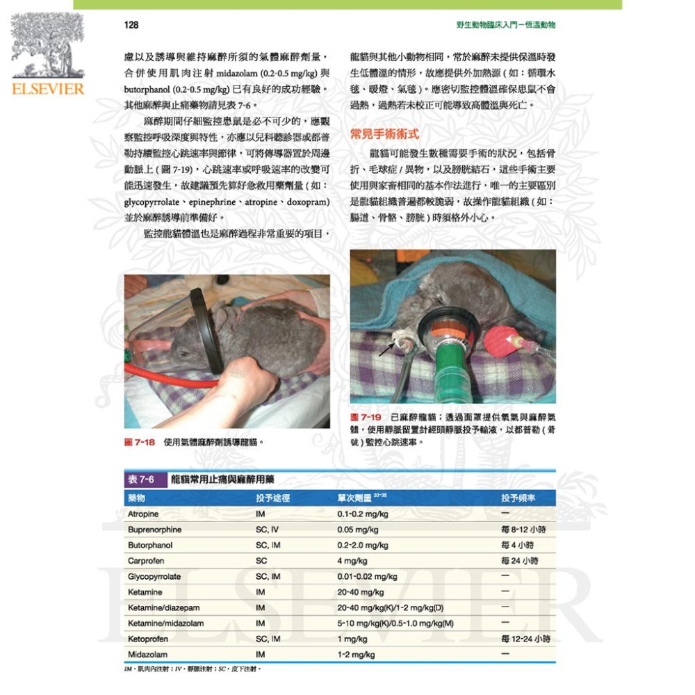 魏啥麻-《書》野生動物臨床入門：恆溫動物 專業獸醫書籍-細節圖3