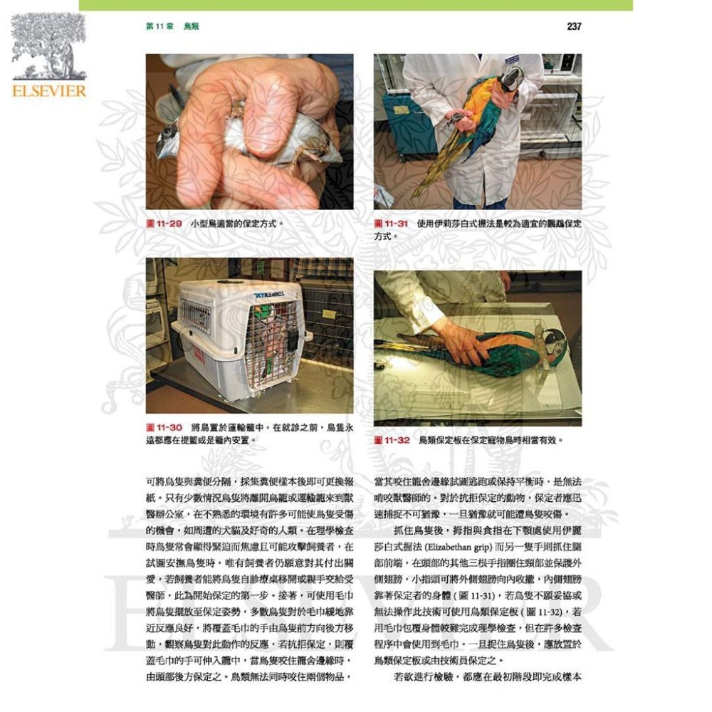 魏啥麻-《書》野生動物臨床入門：恆溫動物 專業獸醫書籍-細節圖4