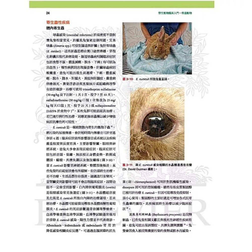 魏啥麻-《書》野生動物臨床入門：恆溫動物 專業獸醫書籍-細節圖6