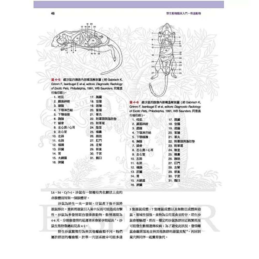 魏啥麻-《書》野生動物臨床入門：恆溫動物 專業獸醫書籍-細節圖7