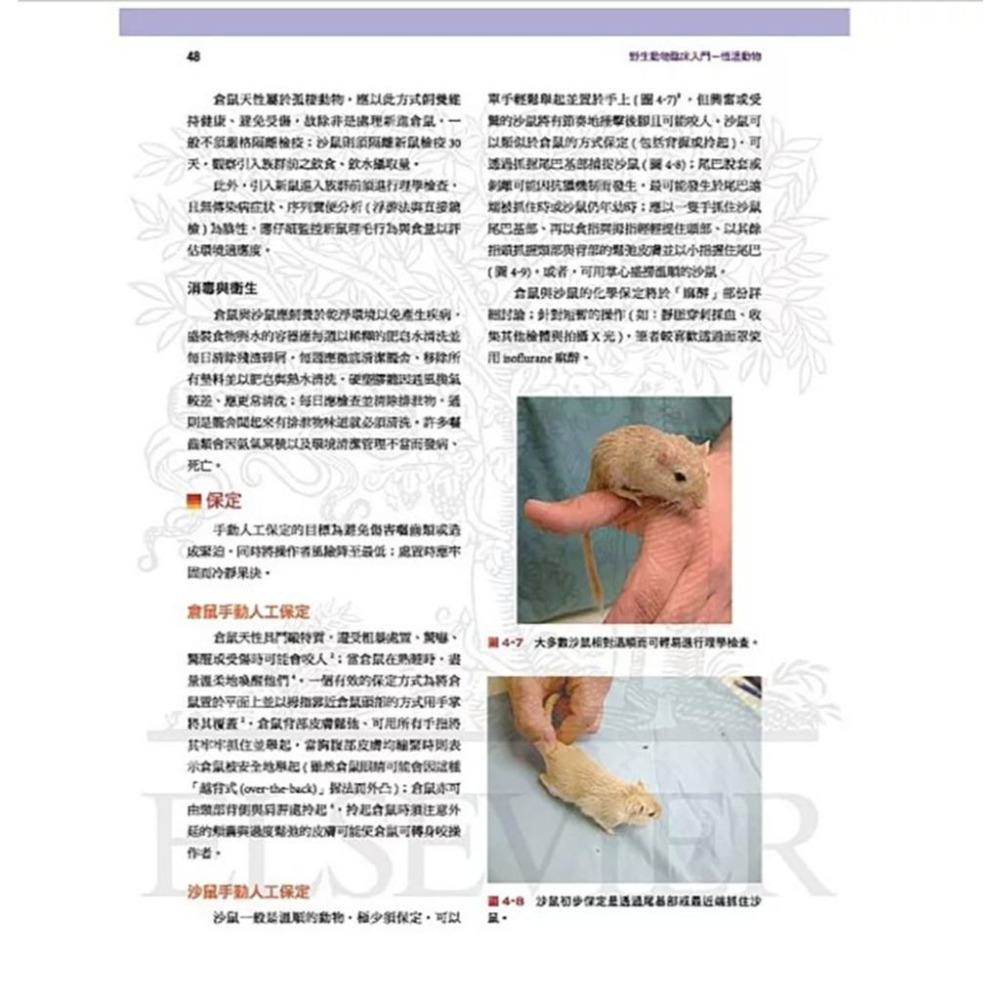 魏啥麻-《書》野生動物臨床入門：恆溫動物 專業獸醫書籍-細節圖8