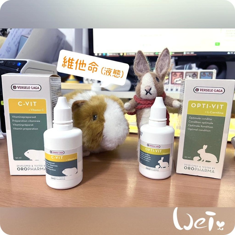 魏啥麻-比利時凡賽爾全效綜合維他命 (液態 14種必需維生素 富含左旋肉鹼與維生素K)兔 天竺鼠 籠貓 囓齒小寵物-細節圖4