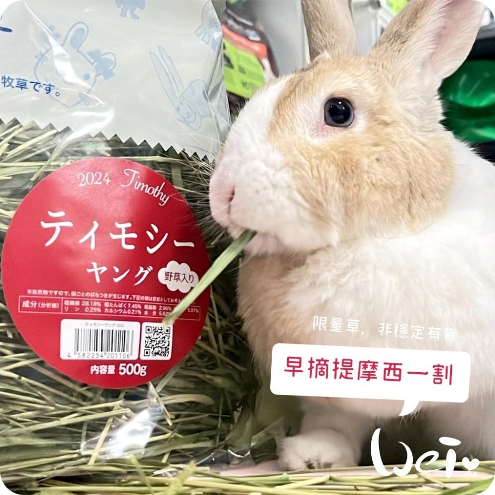 魏啥麻-日本WOOLY高原的早摘提摩西一割 500g (梗多) 2024年度草 (兔 天竺鼠 龍貓牧草)-細節圖5