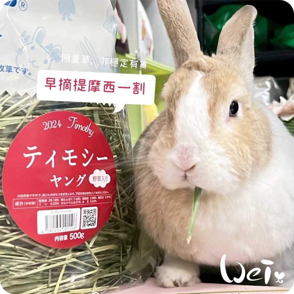 魏啥麻-日本WOOLY高原的早摘提摩西一割 500g (梗多) 2024年度草 (兔 天竺鼠 龍貓牧草)-細節圖6