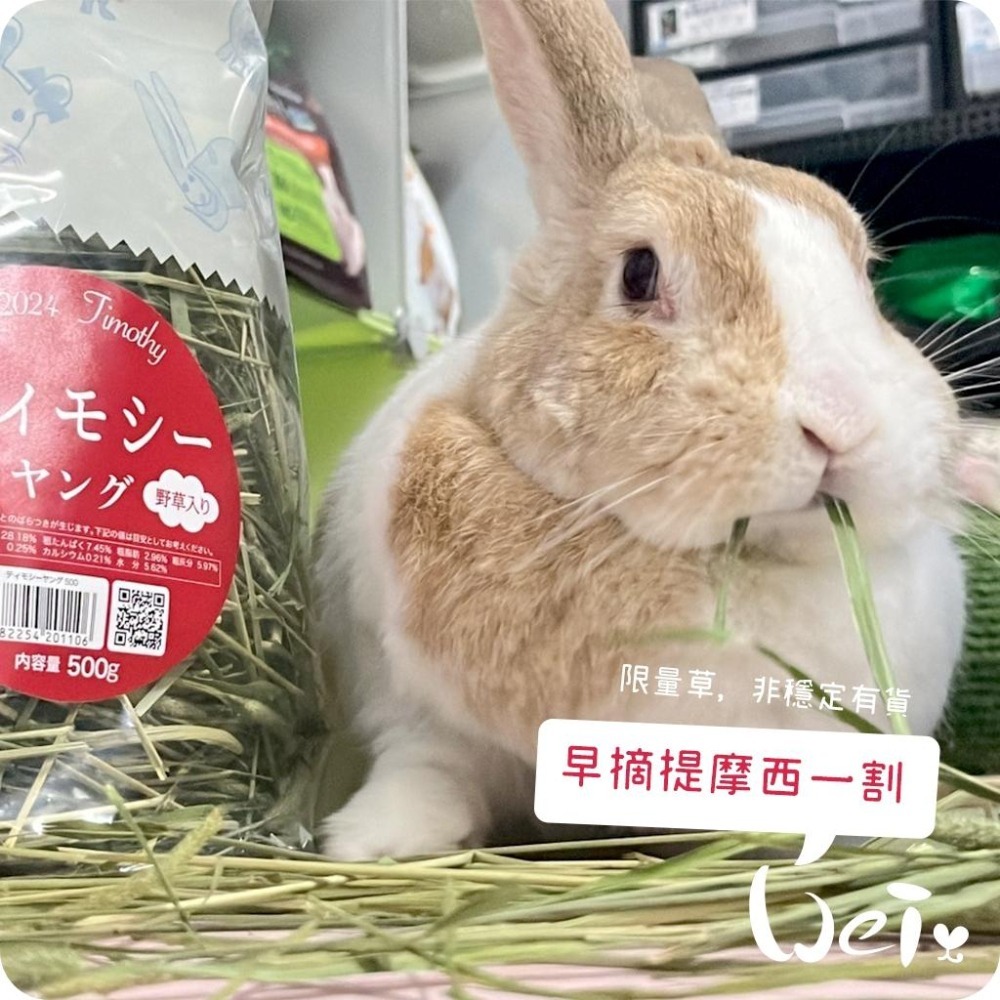 魏啥麻-日本WOOLY高原的早摘提摩西一割 500g (梗多) 2024年度草 (兔 天竺鼠 龍貓牧草)-細節圖7