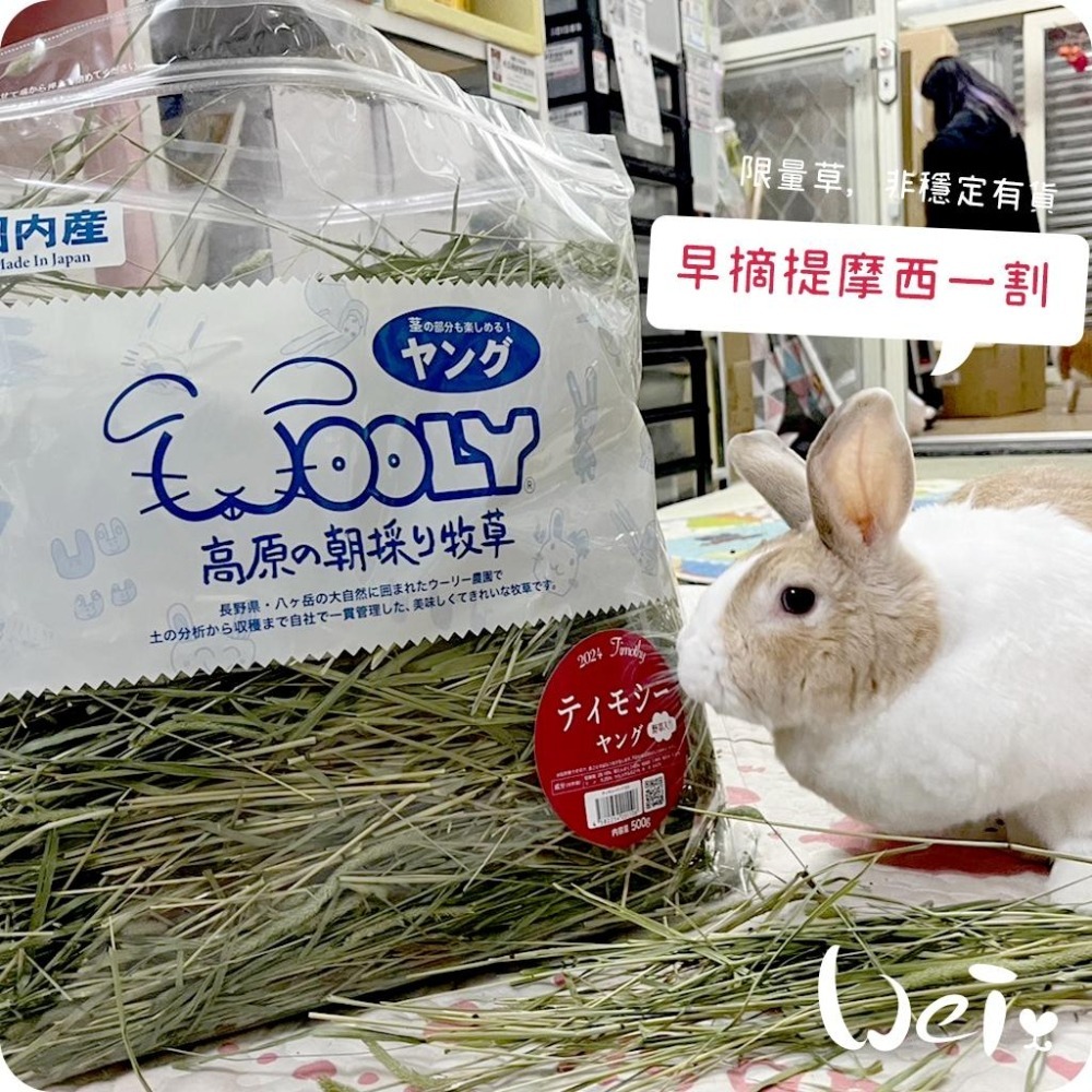 魏啥麻-日本WOOLY高原的早摘提摩西一割 500g (梗多) 2024年度草 (兔 天竺鼠 龍貓牧草)-細節圖8