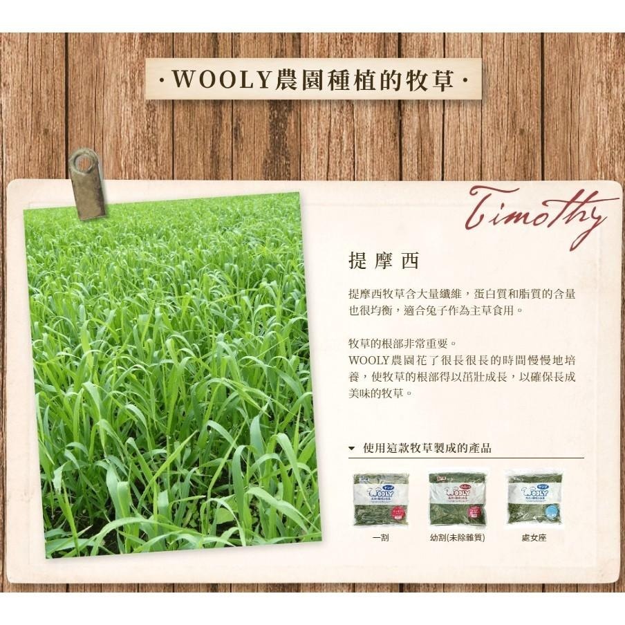 魏啥麻-日本WOOLY高原的早摘提摩西一割 500g (梗多) 2024年度草 (兔 天竺鼠 龍貓牧草)-細節圖9