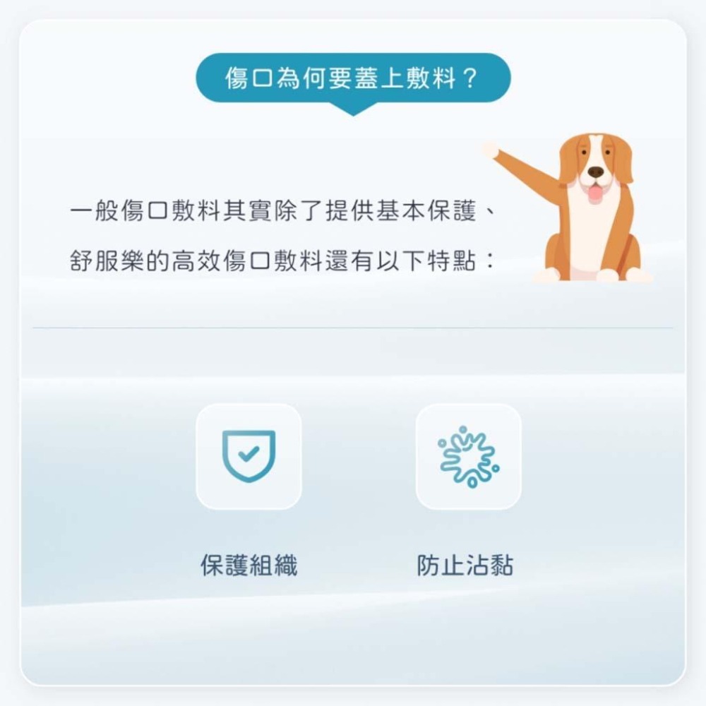 魏啥麻-舒服樂 高效傷口敷料 15x15cm單片 (寵物傷口照護系列)高吸收 不沾黏 不回滲-細節圖3