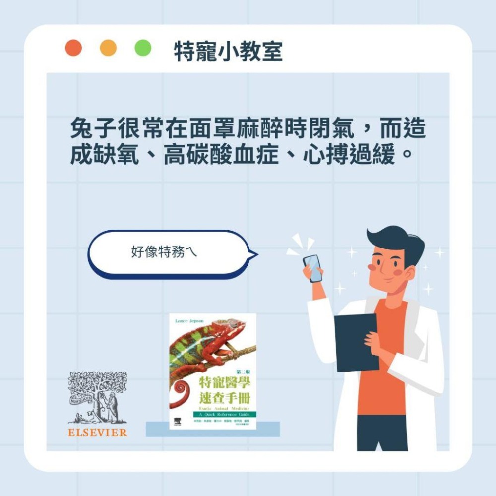 魏啥麻-《書》特寵醫學速查手冊 第二版 (下單後進貨)專業獸醫書籍-細節圖5