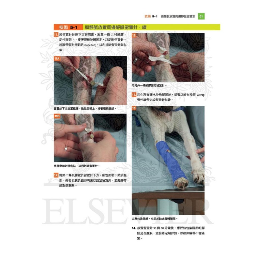 魏啥麻-《書》小動物臨床技術，第三版 (下單後進貨) 專業獸醫書籍-細節圖4