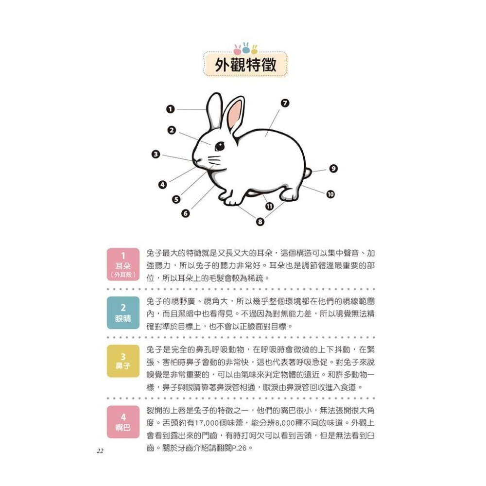 魏啥麻-《書》健康養兔子【全新修訂版】：朱哲助院長的疾病預防與照護大公開-細節圖6