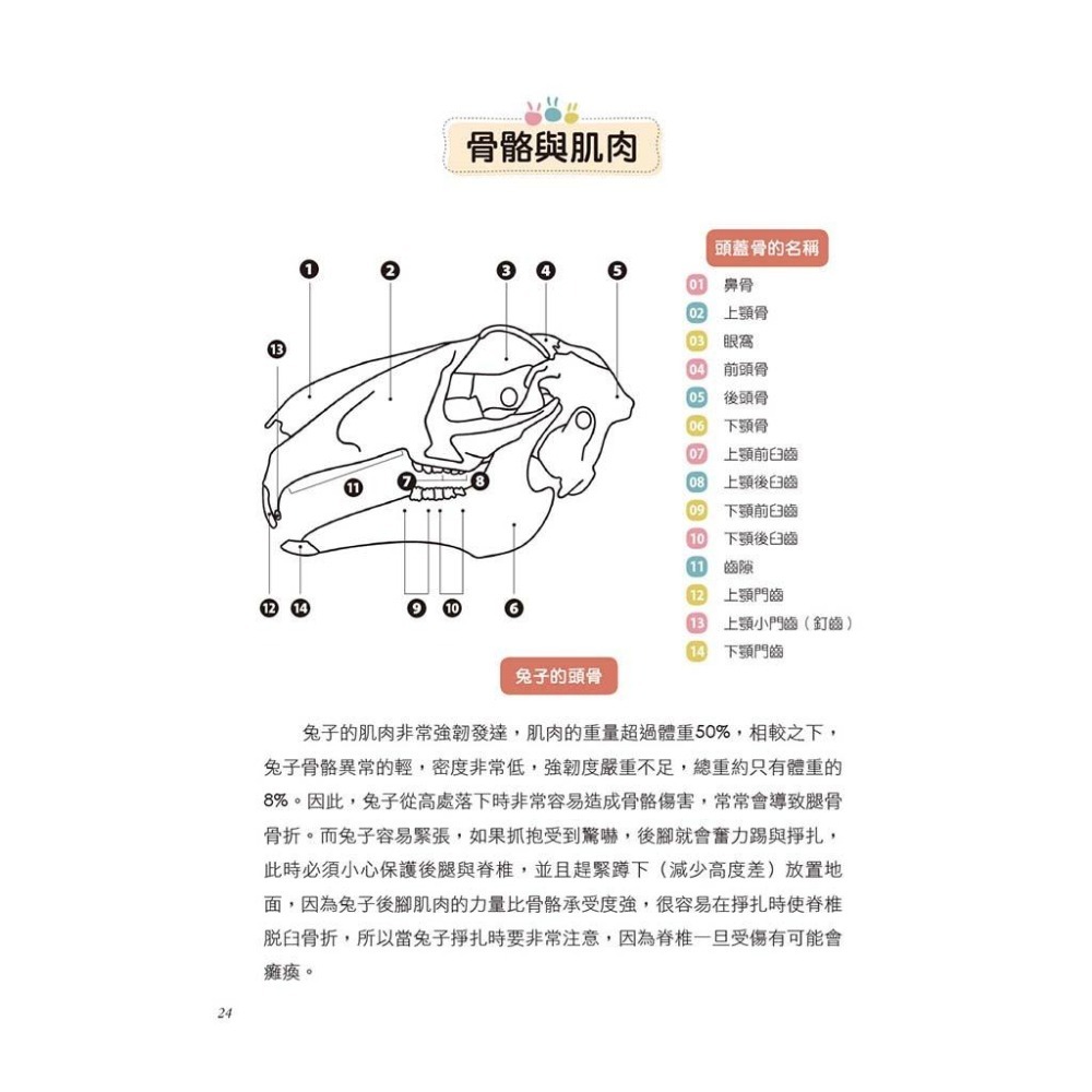 魏啥麻-《書》健康養兔子【全新修訂版】：朱哲助院長的疾病預防與照護大公開-細節圖7