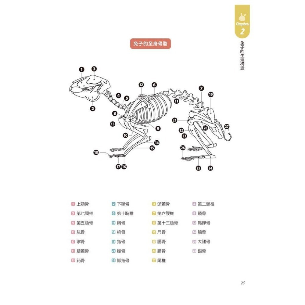 魏啥麻-《書》健康養兔子【全新修訂版】：朱哲助院長的疾病預防與照護大公開-細節圖8