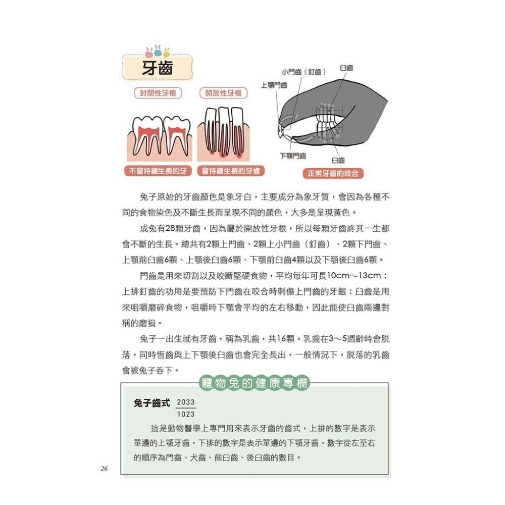 魏啥麻-《書》健康養兔子【全新修訂版】：朱哲助院長的疾病預防與照護大公開-細節圖9