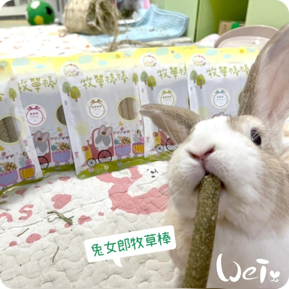 魏啥麻-兔女郎 苜蓿草牧草棒棒 7入 (含菊苣纖維(益生元) 純草無添加)(兔 天竺鼠 龍貓可)-細節圖6