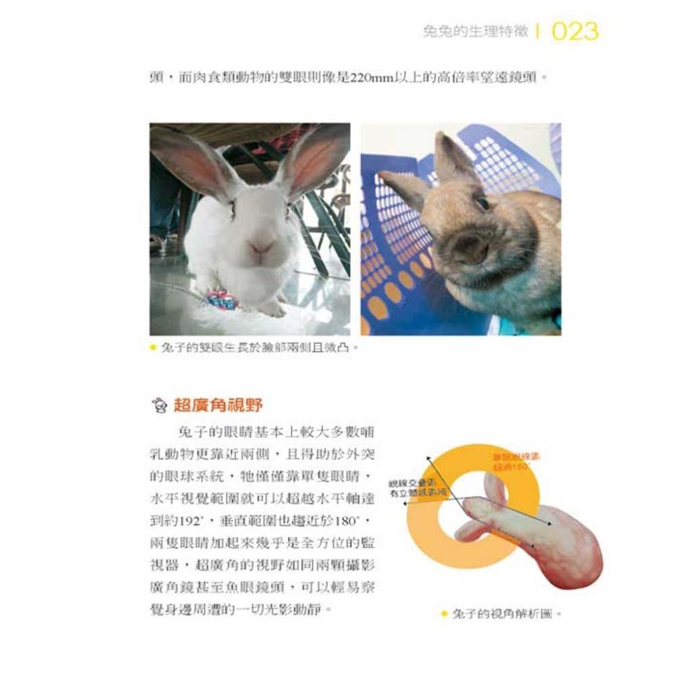 魏啥麻-《書》愛兔飼育照護大百科-細節圖3