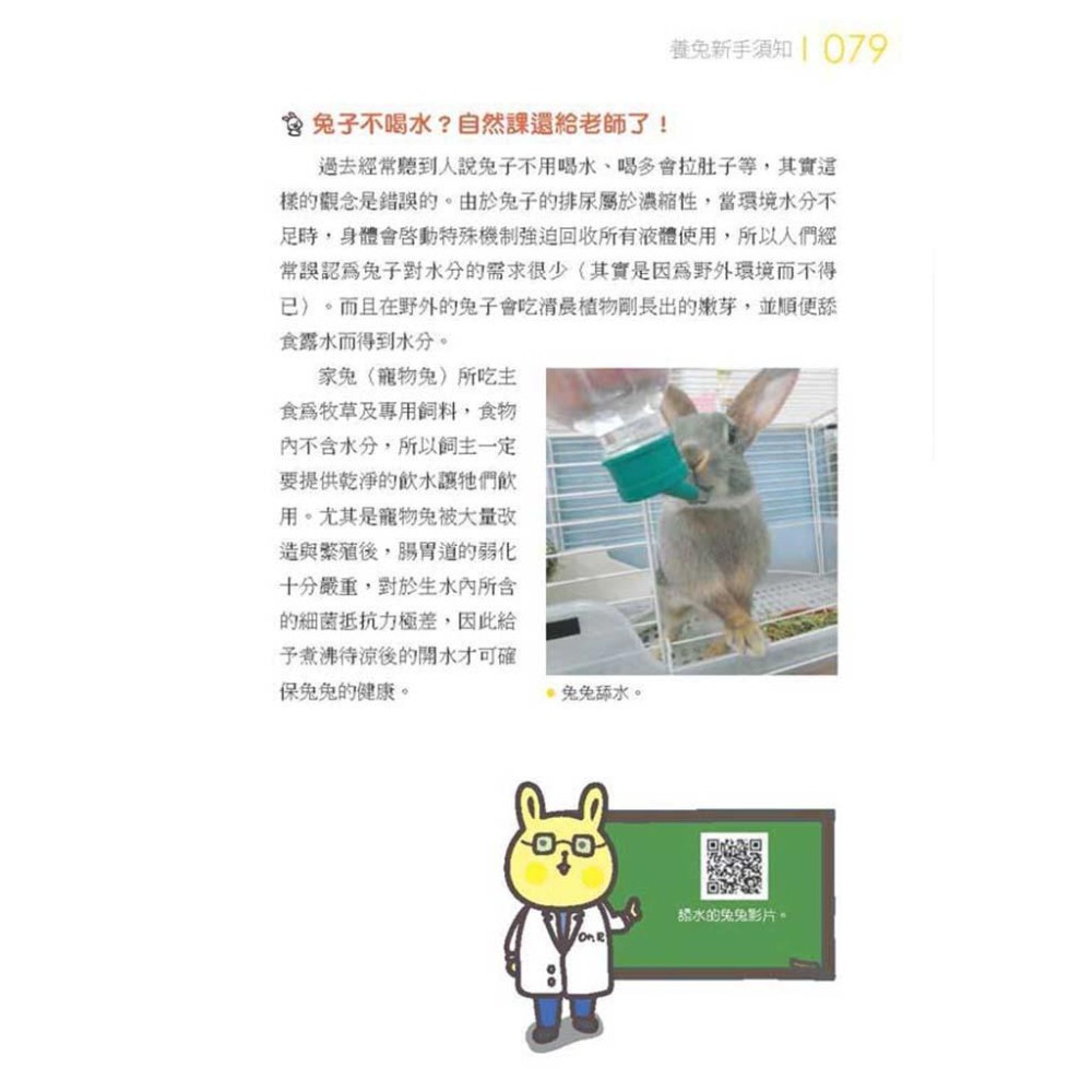 魏啥麻-《書》愛兔飼育照護大百科-細節圖5