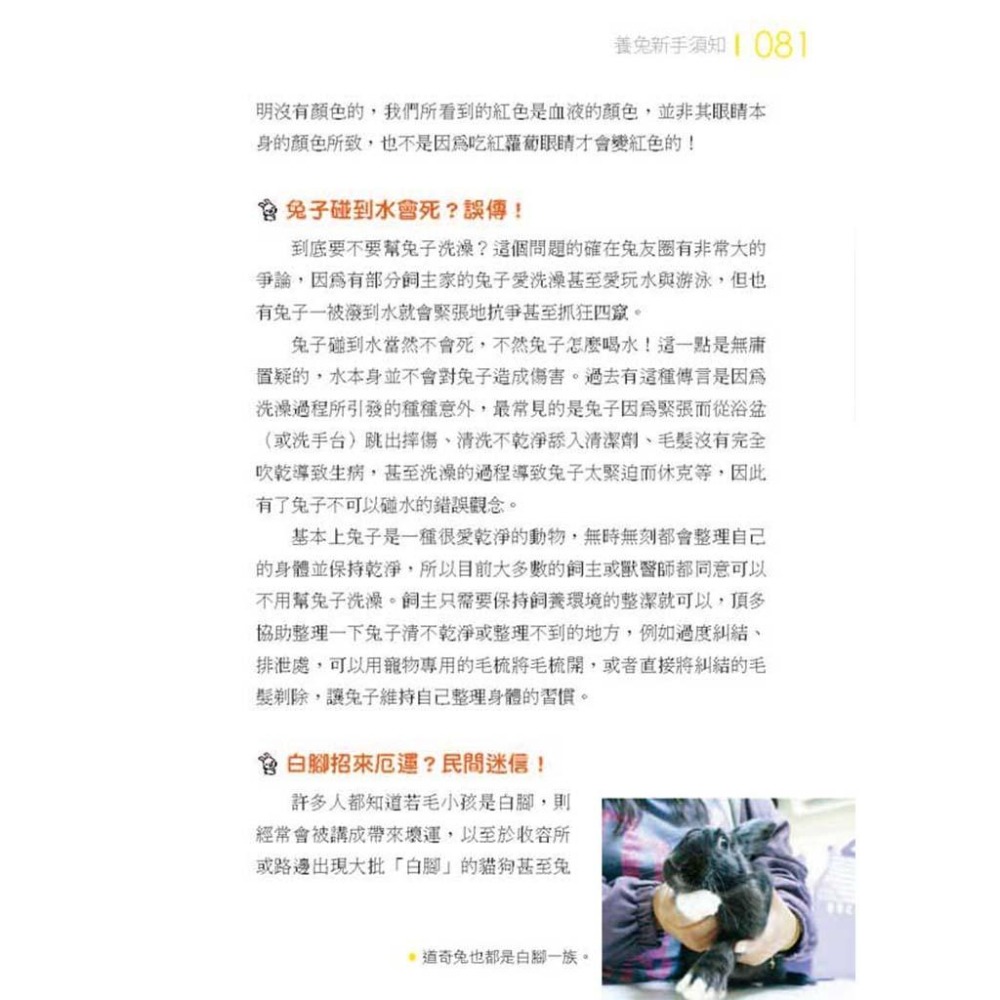 魏啥麻-《書》愛兔飼育照護大百科-細節圖7