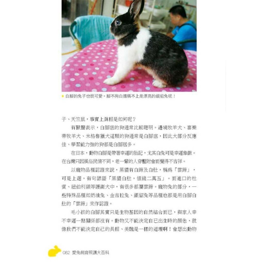 魏啥麻-《書》愛兔飼育照護大百科-細節圖8