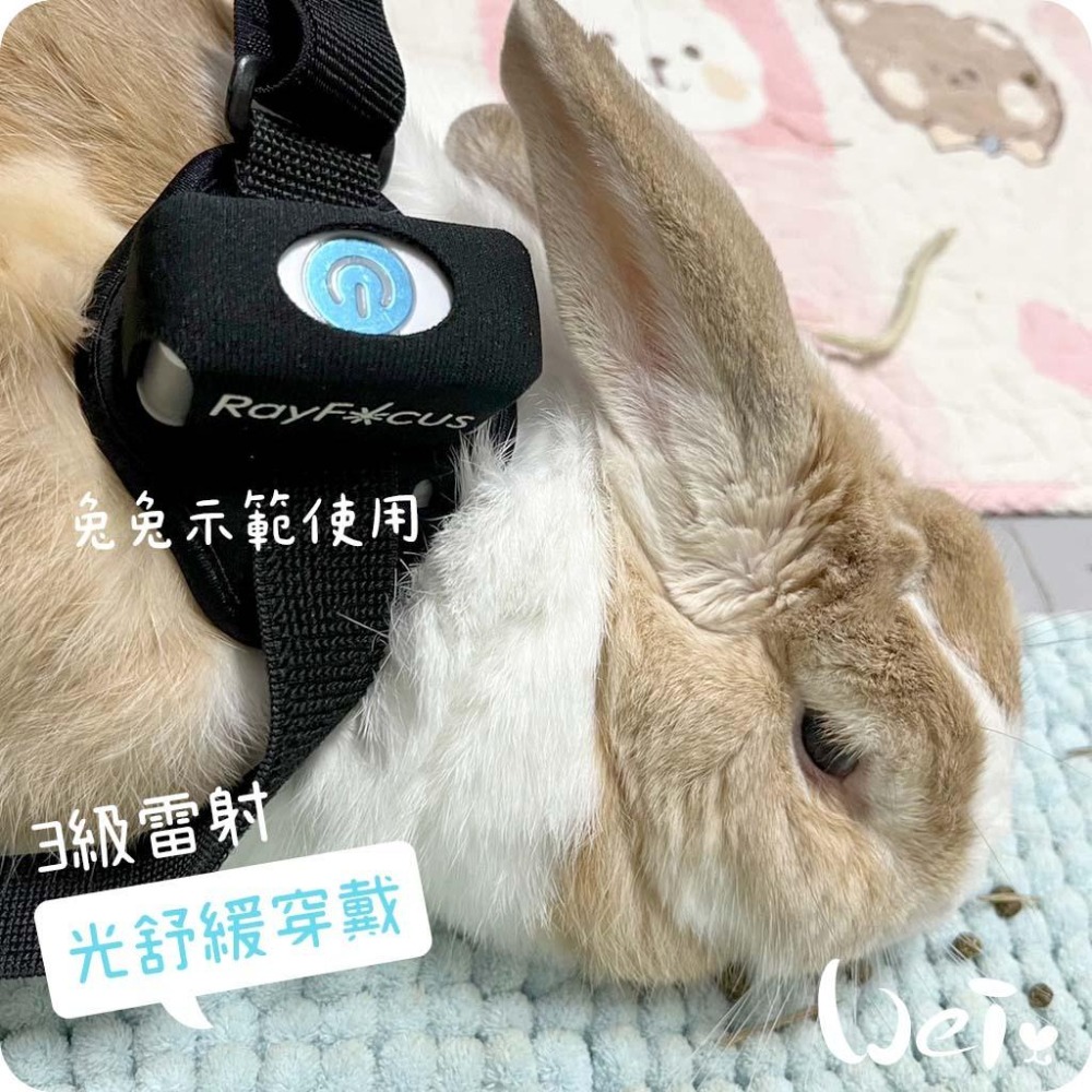 魏啥麻-舒服樂 光舒緩穿戴 2入/組 (寵物居家三級雷射)-細節圖2