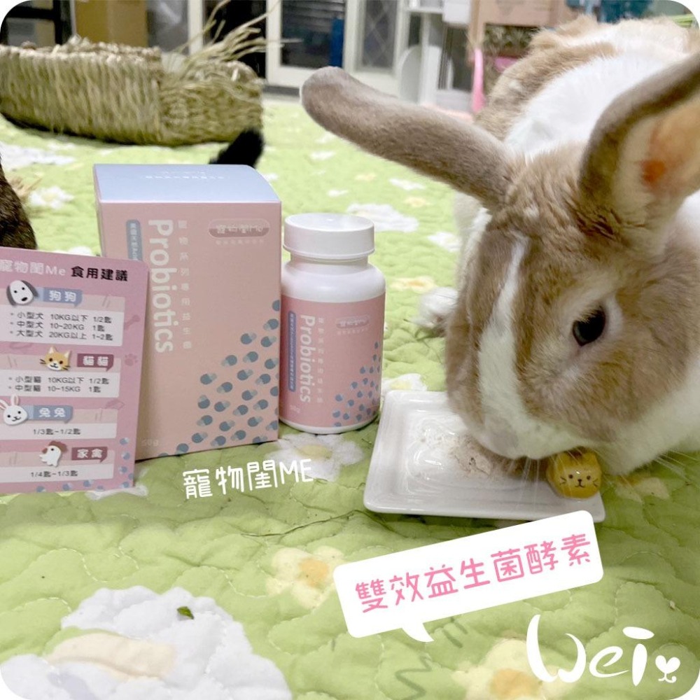 魏啥麻-寵物閨Me雙效益生菌酵素 ((粉狀)含5大益生菌 51億株以上活菌)兔 天竺鼠保健品-細節圖6