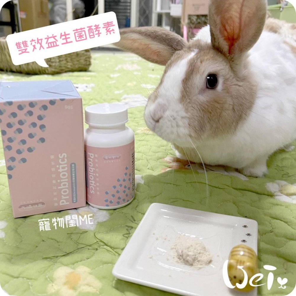 魏啥麻-寵物閨Me雙效益生菌酵素 ((粉狀)含5大益生菌 51億株以上活菌)兔 天竺鼠保健品-細節圖7