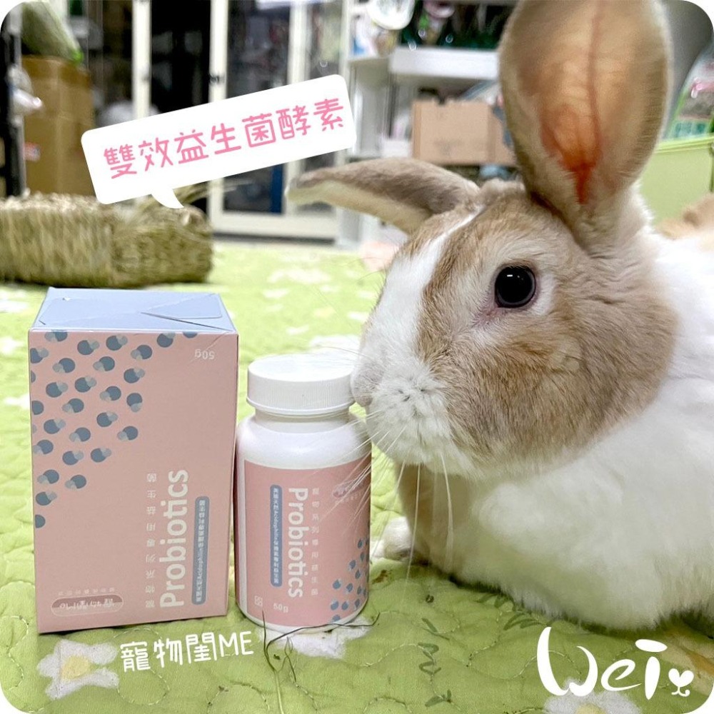 魏啥麻-寵物閨Me雙效益生菌酵素 ((粉狀)含5大益生菌 51億株以上活菌)兔 天竺鼠保健品-細節圖8