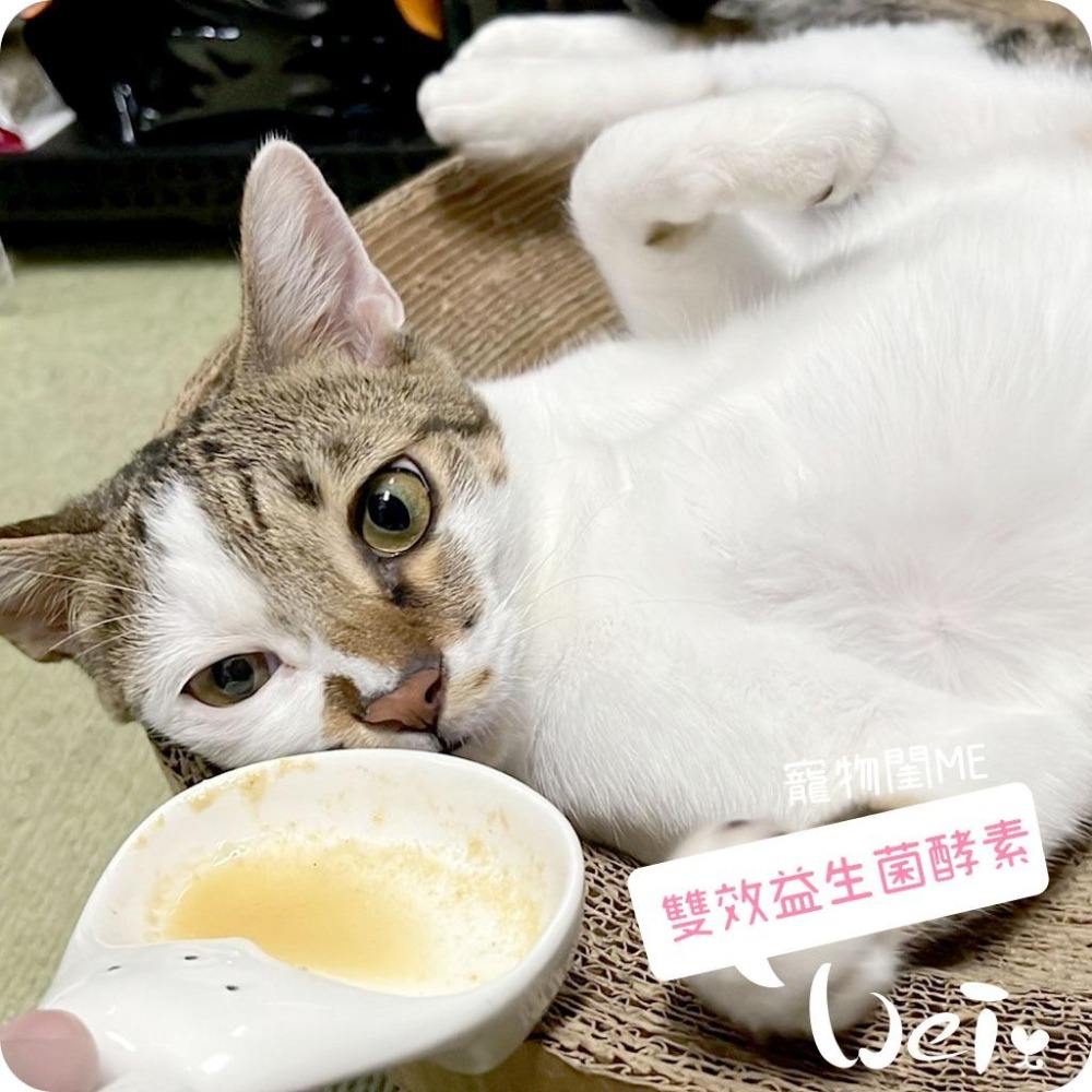 魏啥麻-寵物閨Me雙效益生菌酵素 ((粉狀)含5大益生菌 51億株以上活菌)兔 天竺鼠保健品-細節圖9