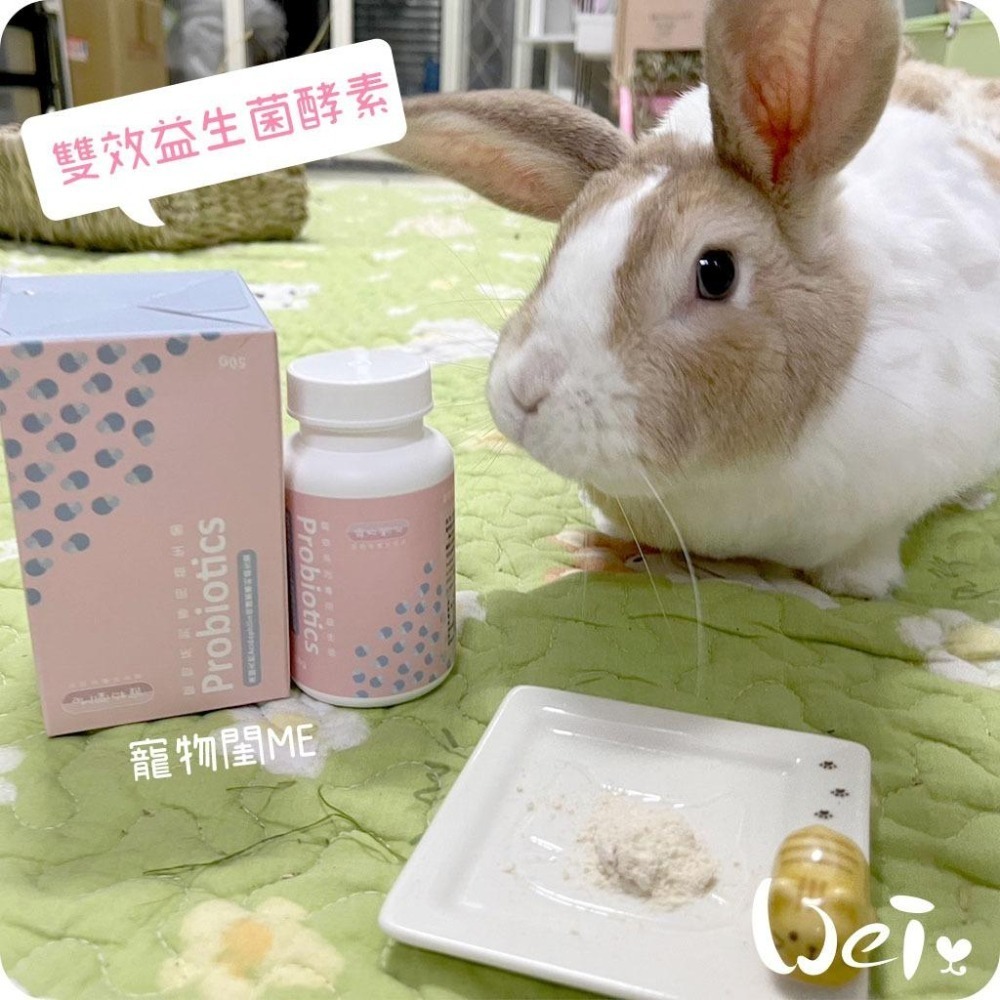 魏啥麻-寵物閨Me雙效益生菌酵素 ((粉狀)含5大益生菌 51億株以上活菌)兔 天竺鼠保健品-細節圖7