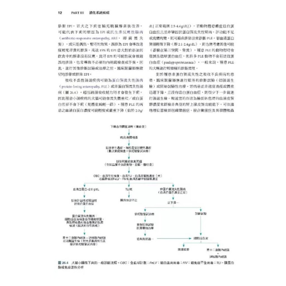 魏啥麻-《書》小動物內科學，第六版（上冊）(下單後進貨) 專業獸醫書籍-細節圖8