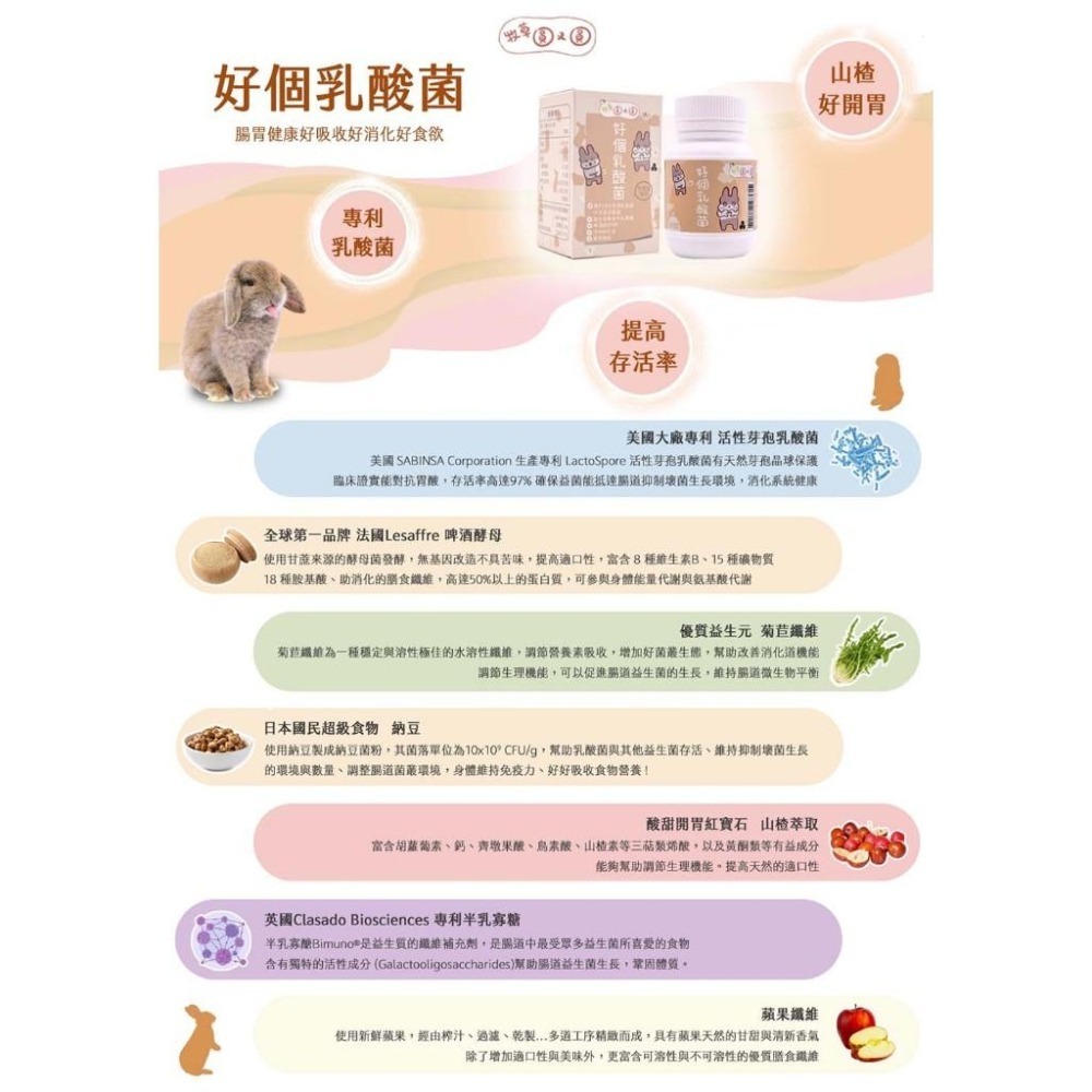 魏啥麻-牧草圓又圓 好個乳酸菌 (專利活性芽孢乳酸菌 啤酒酵母 菊苣纖維 納豆菌 山楂萃取)兔 天竺鼠保健品-細節圖2
