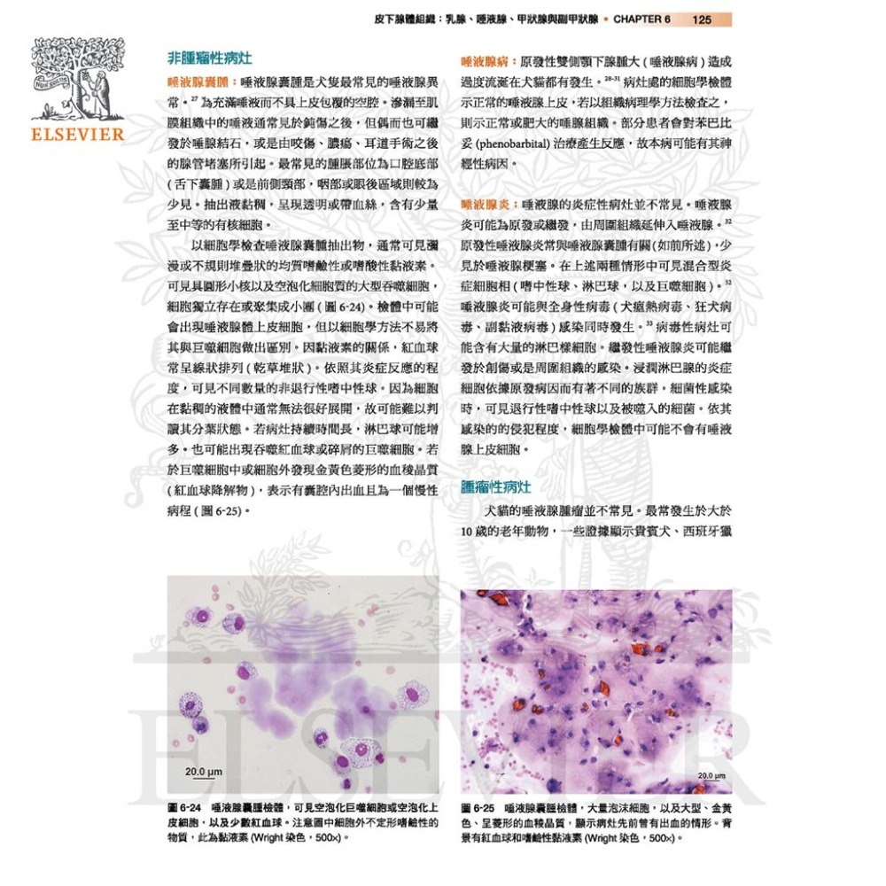 魏啥麻-《書》Cowell and Tyler’s犬貓診斷細胞學與血液學(4版)(下單後進貨) 專業獸醫書籍-細節圖3