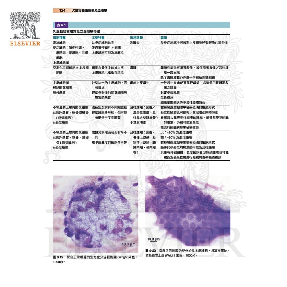 魏啥麻-《書》Cowell and Tyler’s犬貓診斷細胞學與血液學(4版)(下單後進貨) 專業獸醫書籍-細節圖4