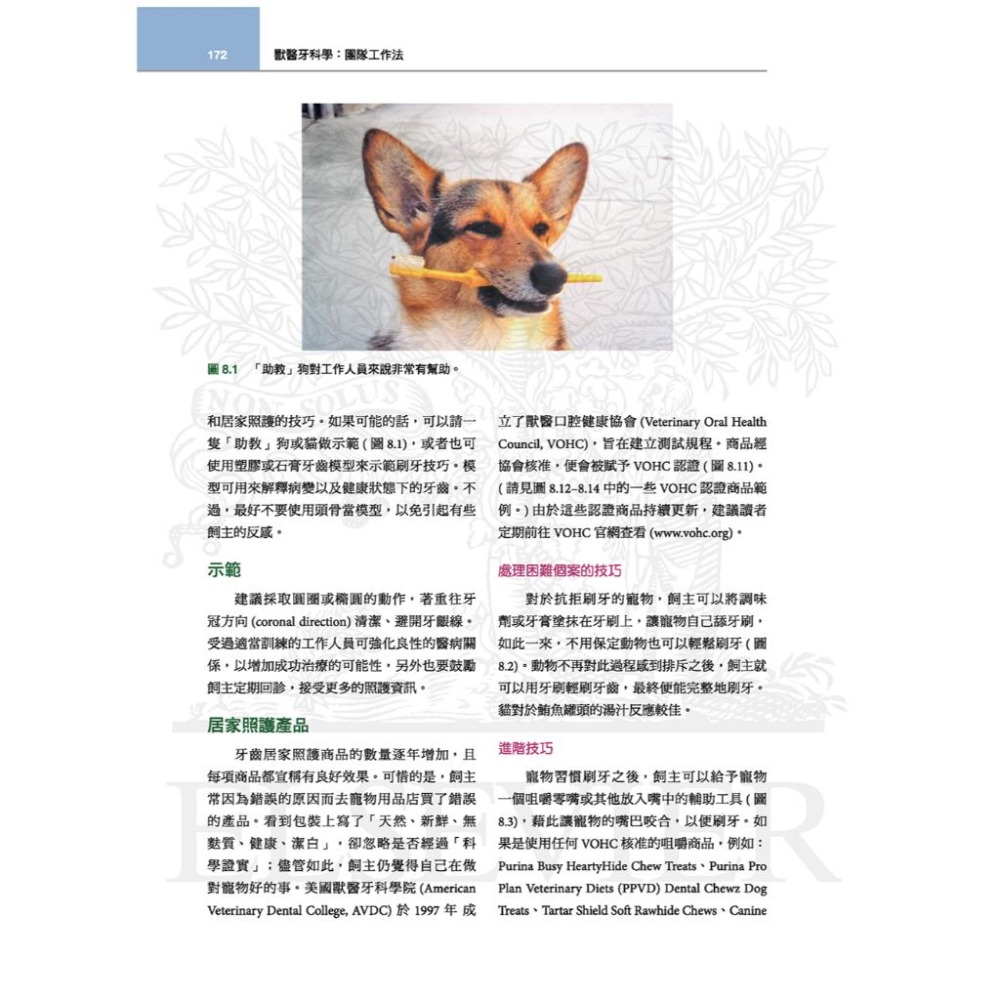 魏啥麻-《書》獸醫牙科學(3版) (下單後進貨) 專業獸醫書籍-細節圖5