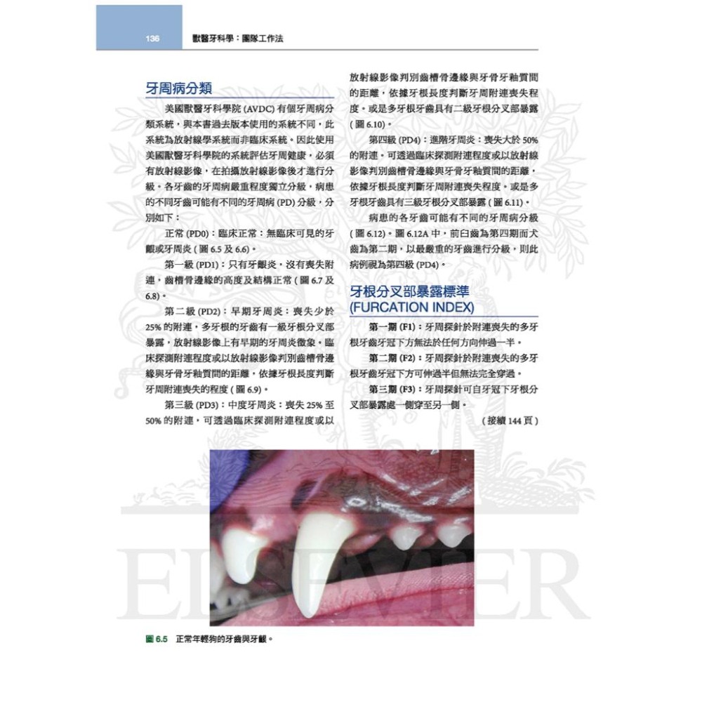 魏啥麻-《書》獸醫牙科學(3版) (下單後進貨) 專業獸醫書籍-細節圖8