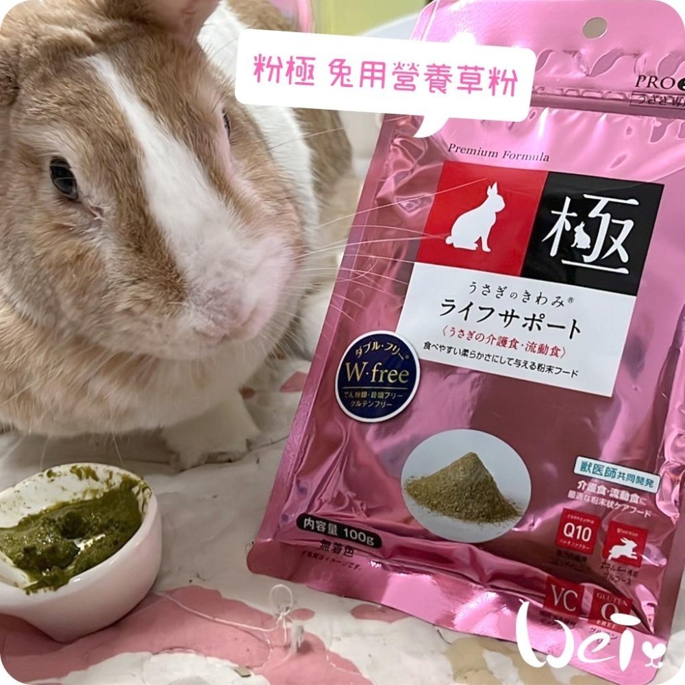 魏啥麻-日本HI-PET 粉極營養草粉 100g (低鈣 無澱粉無穀 含葡萄糖 Q10 乳酸菌)兔 天竺鼠保健品-細節圖6