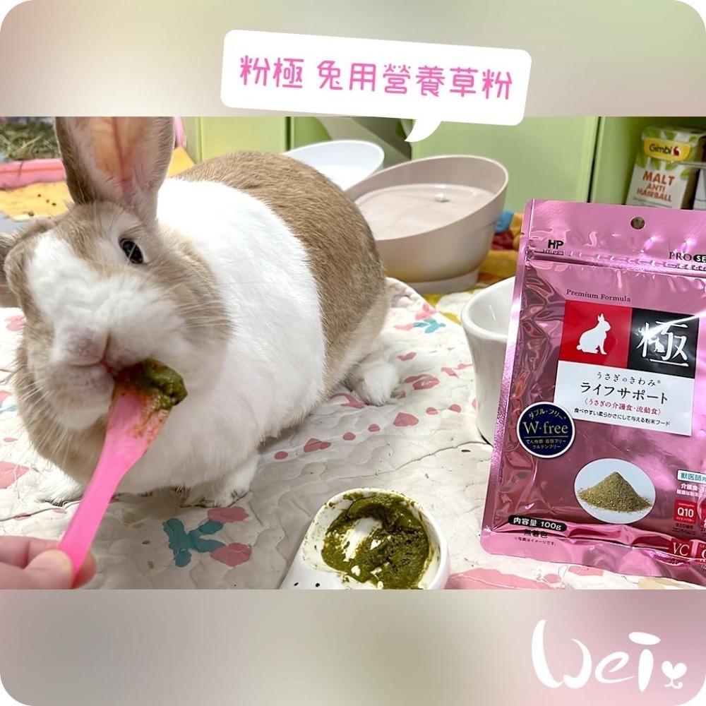 魏啥麻-日本HI-PET 粉極營養草粉 100g (低鈣 無澱粉無穀 含葡萄糖 Q10 乳酸菌)兔 天竺鼠保健品-細節圖7