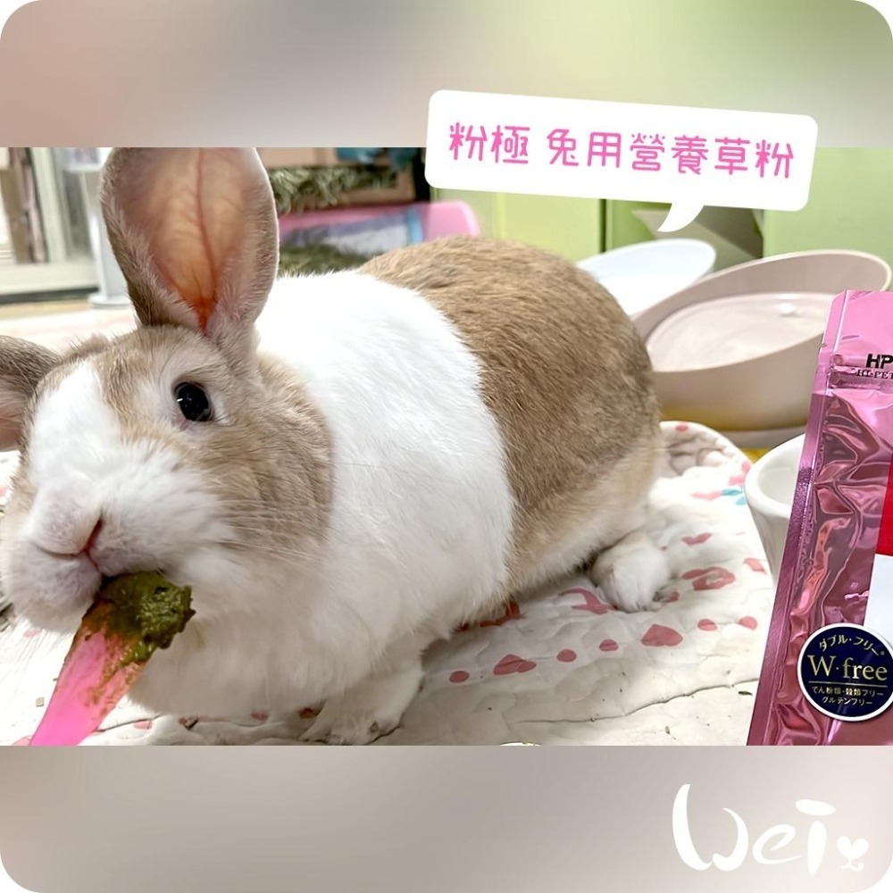 魏啥麻-日本HI-PET 粉極營養草粉 100g (低鈣 無澱粉無穀 含葡萄糖 Q10 乳酸菌)兔 天竺鼠保健品-細節圖8