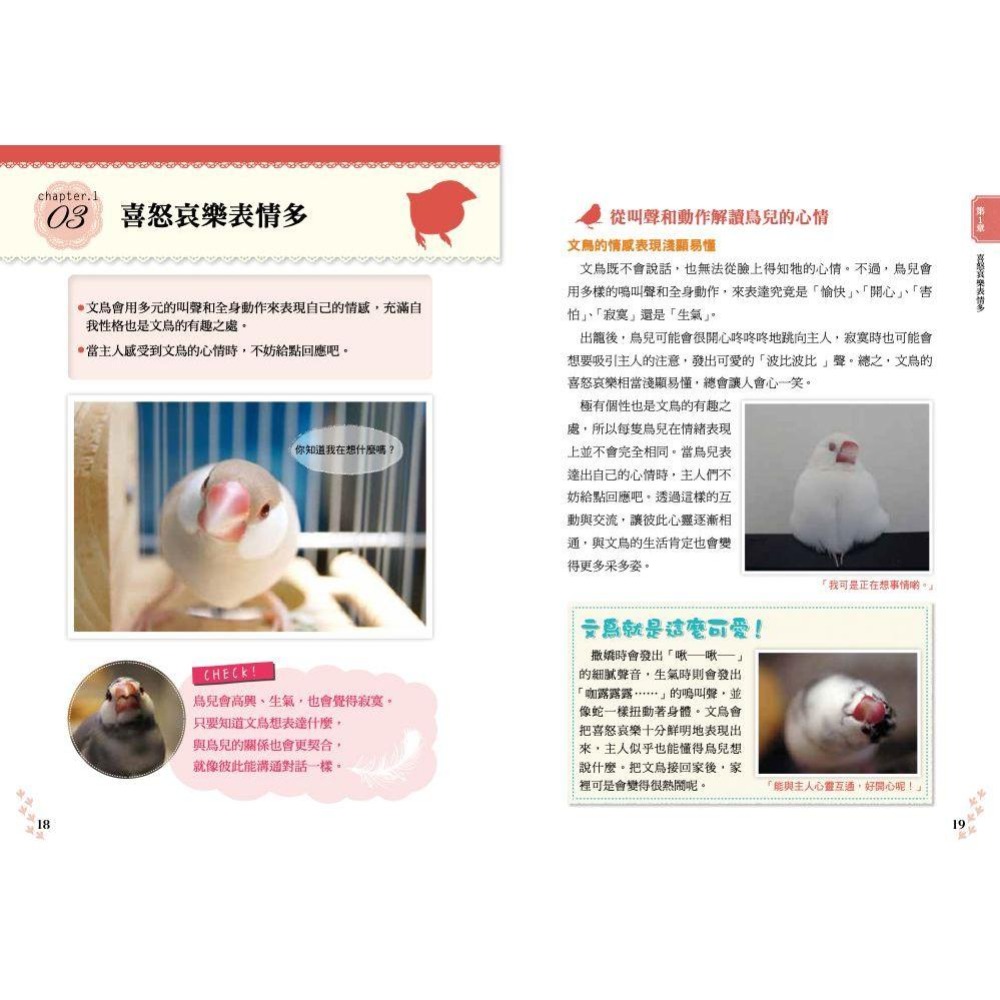 魏啥麻-《書》文鳥的幸福飼育指南 もっと知りたい 文鳥のすべて 幸せな飼い方・接し方がわかる本-細節圖5