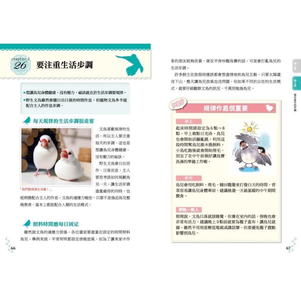 魏啥麻-《書》文鳥的幸福飼育指南 もっと知りたい 文鳥のすべて 幸せな飼い方・接し方がわかる本-細節圖6