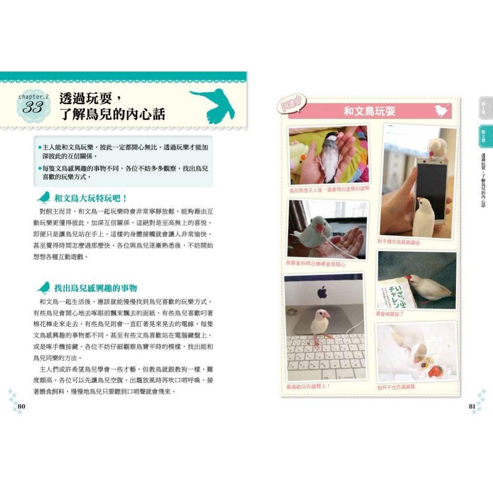魏啥麻-《書》文鳥的幸福飼育指南 もっと知りたい 文鳥のすべて 幸せな飼い方・接し方がわかる本-細節圖8
