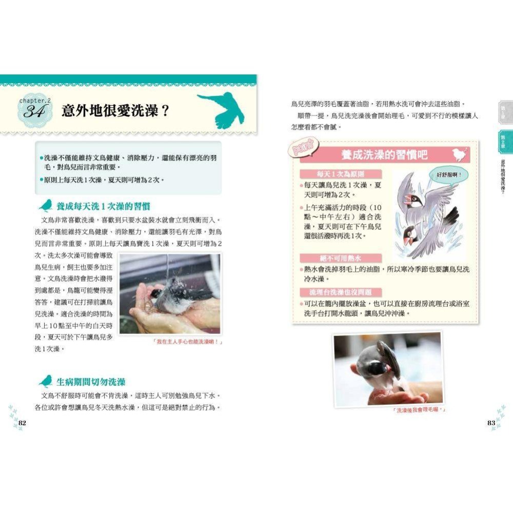 魏啥麻-《書》文鳥的幸福飼育指南 もっと知りたい 文鳥のすべて 幸せな飼い方・接し方がわかる本-細節圖9